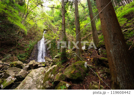 オウネン滝(兵庫県神崎郡神河町) オウネン滝(兵庫県神崎郡神河町) 119608442