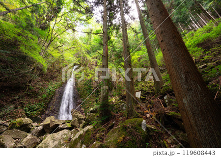 オウネン滝（兵庫県神崎郡神河町） 119608443