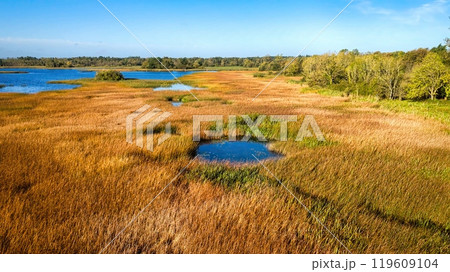 Lough Derg in Portumna Ireland - an Amazing Scenic Lakeside View Enhanced by Lush Greenery and Calm 119609104