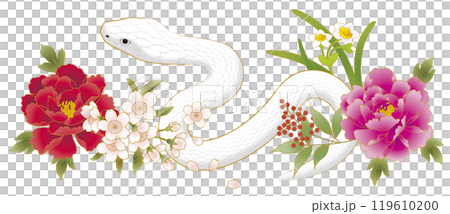 Year of the Snake New Year's card material White snake Horizontal Year of the Snake New Year's card material White snake Horizontal 119610200