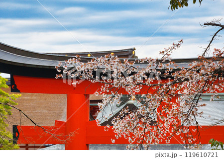 京都 伏見稲荷大社 赤い鳥居と桜(京都府京都市伏見区) 京都 伏見稲荷大社 赤い鳥居と桜(京都府京都市伏見区) 119610721