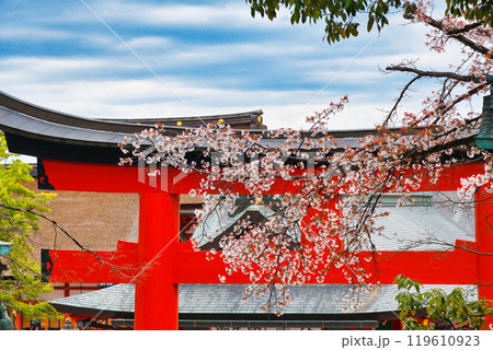 京都 伏見稲荷大社 赤い鳥居と桜(京都府京都市伏見区) 京都 伏見稲荷大社 赤い鳥居と桜(京都府京都市伏見区) 119610923