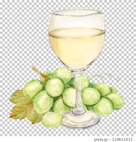 Watercolor branch with white grapes lies on the table, and next to it is a glass with white wine. Illustration of green berries and leaves. Clipart for wine stories, tasting, menu, wine list. Watercolor branch with white grapes lies on the table, and next to it is a glass with white wine. Illustration of green berries and leaves. Clipart for wine stories, tasting, menu, wine list. 119611015
