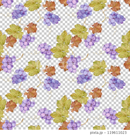 Seamless background with grapevine. Watercolor lilac autumn grape berries and leaves. Illustrations for wine label design, grape juice, restaurant menu and for grape festival decoration. Seamless background with grapevine. Watercolor lilac autumn grape berries and leaves. Illustrations for wine label design, grape juice, restaurant menu and for grape festival decoration. 119611023