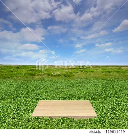 限りなく続く緑と青空、手前に展示台がある空想の風景 119611039