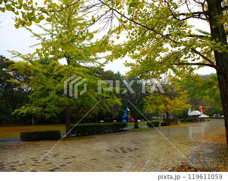 秋の秩父ミュ－ズパ－ク 119611059