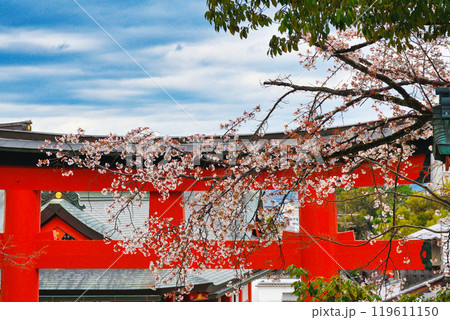 京都 伏見稲荷大社 赤い鳥居と桜(京都府京都市伏見区) 京都 伏見稲荷大社 赤い鳥居と桜(京都府京都市伏見区) 119611150