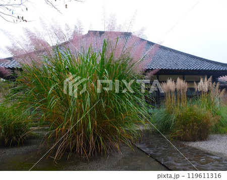 秋の長瀞七草寺 秋の長瀞七草寺 119611316