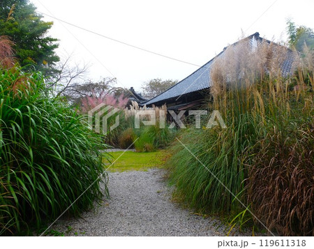 秋の長瀞七草寺 秋の長瀞七草寺 119611318