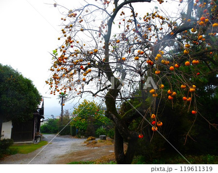 秋の長瀞七草寺 秋の長瀞七草寺 119611319
