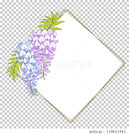 藤の花のベクター素材イラスト 藤の花のベクター素材イラスト 119611441