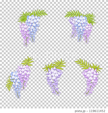 藤の花のベクター素材イラストセット 119611452