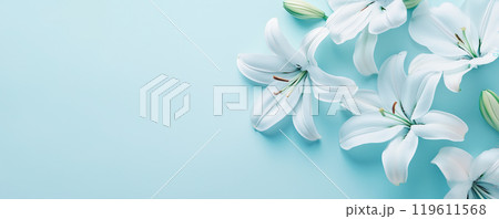 ユリ ユリ 119611568