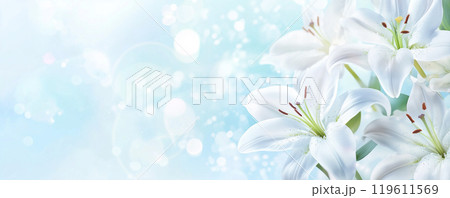 ユリ ユリ 119611569