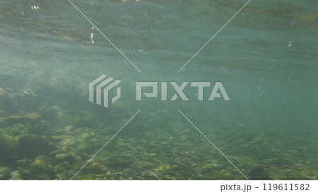 岸辺の底 119611582