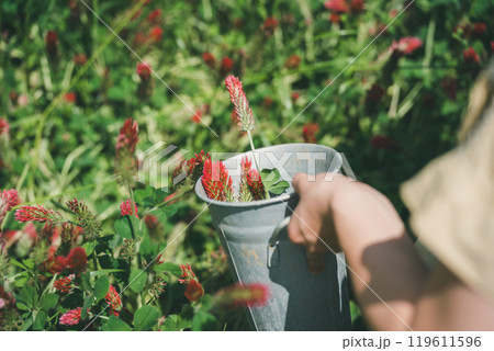 ストロベリーキャンドルのお花摘み ストロベリーキャンドルのお花摘み 119611596