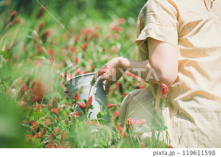 ストロベリーキャンドルのお花摘み 119611598