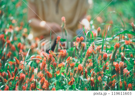 ストロベリーキャンドルのお花摘み 119611603