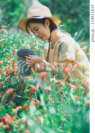 ストロベリーキャンドルのお花摘み ストロベリーキャンドルのお花摘み 119611614