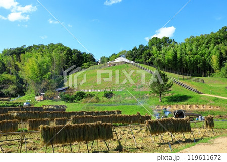 牽牛子塚古墳 (国指定史跡)と田園風景 119611672
