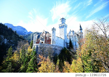 唯一無二の美しさを誇る世界屈指の名城　ノイシュヴァンシュタイン城 119611726