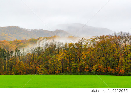 とかち上美生初秋の紅葉 119612075