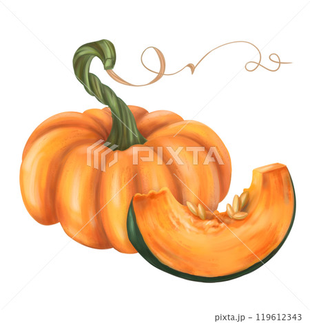 Autumn composition of ripe orange pumpkin and slice. Fresh farm vegetables, healthy food. Garden plants, agriculture. Isolated digital handmade illustration. Element of design of printing, packaging 119612343