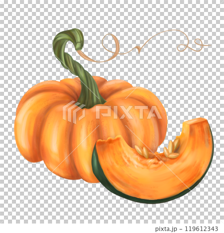 Autumn composition of ripe orange pumpkin and slice. Fresh farm vegetables, healthy food. Garden plants, agriculture. Isolated digital handmade illustration. Element of design of printing, packaging 119612343
