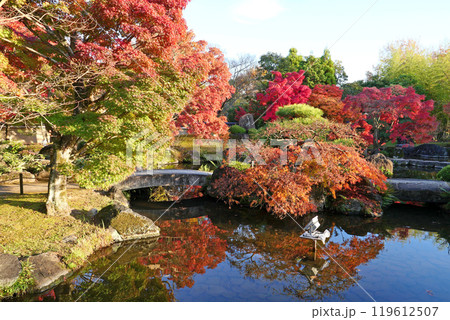 好古園の紅葉 好古園の紅葉 119612507