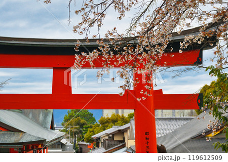 京都 伏見稲荷大社 赤い鳥居と桜(京都府京都市伏見区) 京都 伏見稲荷大社 赤い鳥居と桜(京都府京都市伏見区) 119612509