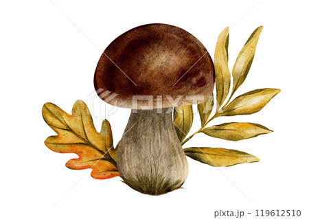 Watercolor hand drawn illustration of forest mushroom with autumn leaves for seasonal designs, nature projects, prints and digital use. Perfect for creating autumnal mood and forest inspired art Watercolor hand drawn illustration of forest mushroom with autumn leaves for seasonal designs, nature projects, prints and digital use. Perfect for creating autumnal mood and forest inspired art 119612510
