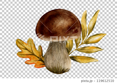 Watercolor hand drawn illustration of forest mushroom with autumn leaves for seasonal designs, nature projects, prints and digital use. Perfect for creating autumnal mood and forest inspired art Watercolor hand drawn illustration of forest mushroom with autumn leaves for seasonal designs, nature projects, prints and digital use. Perfect for creating autumnal mood and forest inspired art 119612510