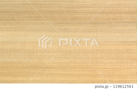 木目がきれいなタモの柾目板、高級アッシュの無垢材 119612561