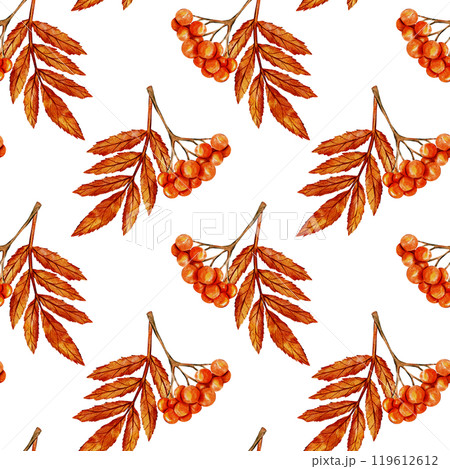 Seamless pattern with orange autumn berries and leaves on branch. Watercolor illustration. Detailed, hand drawn nature art with vibrant fall colors for seasonal design, autumn decor or botanical theme Seamless pattern with orange autumn berries and leaves on branch. Watercolor illustration. Detailed, hand drawn nature art with vibrant fall colors for seasonal design, autumn decor or botanical theme 119612612