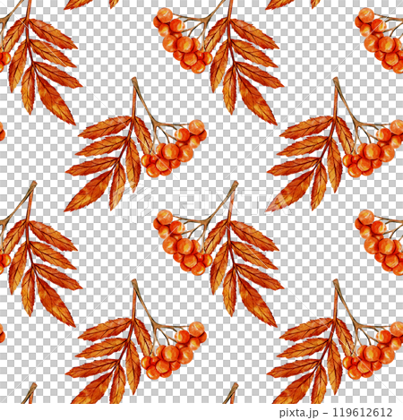 Seamless pattern with orange autumn berries and leaves on branch. Watercolor illustration. Detailed, hand drawn nature art with vibrant fall colors for seasonal design, autumn decor or botanical theme Seamless pattern with orange autumn berries and leaves on branch. Watercolor illustration. Detailed, hand drawn nature art with vibrant fall colors for seasonal design, autumn decor or botanical theme 119612612