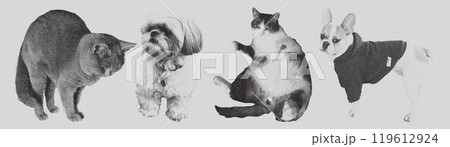 Retro punk collage cat and dog set. Halftone stipple effect. 119612924