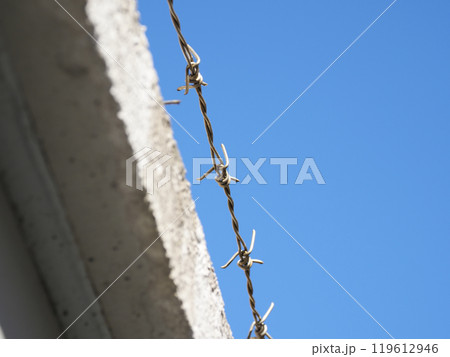 有刺鉄線 119612946