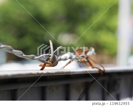 有刺鉄線 有刺鉄線 119612955