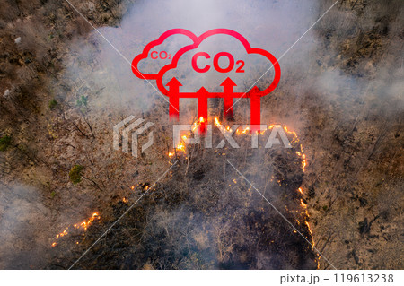 Wildfires release carbon dioxide (CO2) emissions and other greenhouse gases (GHG) that contribute to climate change. 119613238