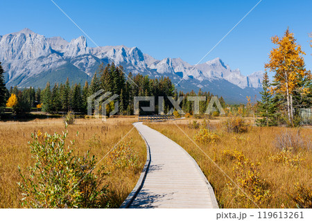 Wooden path through a field of grass with mountains in background in autumn. Spring Creek Boardwalk, Policeman Creek Trail, Canmore, Alberta, Canada. Wooden path through a field of grass with mountains in background in autumn. Spring Creek Boardwalk, Policeman Creek Trail, Canmore, Alberta, Canada. 119613261