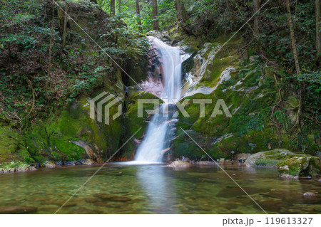 寂地峡五竜の滝の「龍尾の滝」 寂地峡五竜の滝の「龍尾の滝」 119613327
