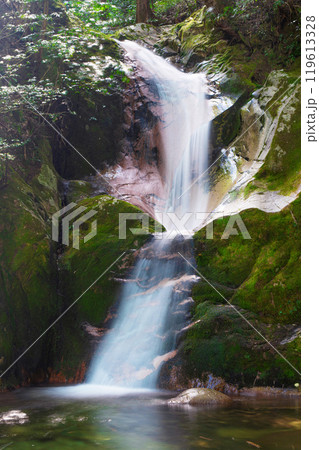 寂地峡五竜の滝の「龍尾の滝」 寂地峡五竜の滝の「龍尾の滝」 119613328