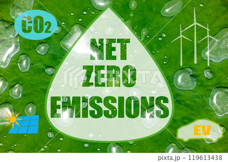 NET ZERO EMISSIONSのイメージ NET ZERO EMISSIONSのイメージ 119613438