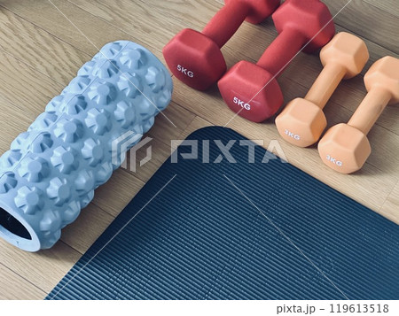 ホームトレニング用具、ダンベル ホームトレニング用具、ダンベル 119613518