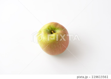 りんご　高徳 119613561