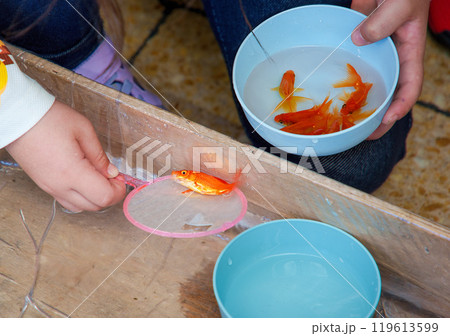 楽しい金魚すくい 119613599