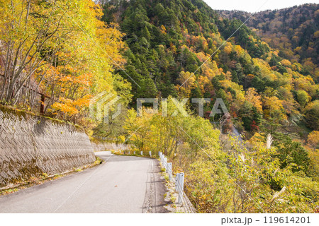 安房峠【国道158号 旧道】の紅葉 安房峠【国道158号 旧道】の紅葉 119614201