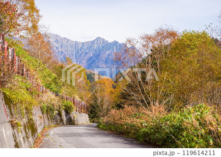 安房峠【国道158号 旧道】の紅葉 119614211