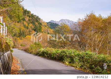 安房峠【国道158号 旧道】の紅葉 安房峠【国道158号 旧道】の紅葉 119614212