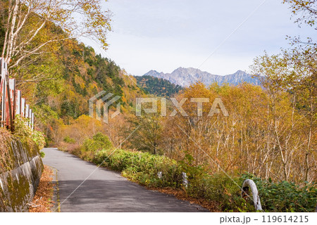 安房峠【国道158号 旧道】の紅葉 119614215